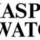 Diaspora Watch newspaper | Publisher: Excel Global Media Group