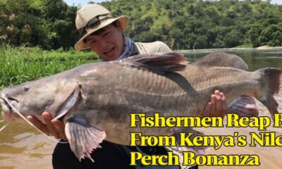 Fishermen Reap Big From Kenya's Nile Perch Bonanza