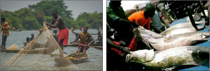 Nwonyo Fishing Festival: A Vibrant Celebration Of Tradition And Unity In Nigeria