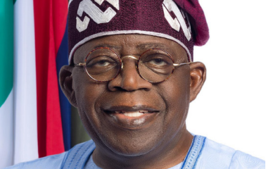 ‘Unacceptable,’ Ex-Envoys Fault Tinubu Over Non-Appointment Of Ambassadors For 10 Months