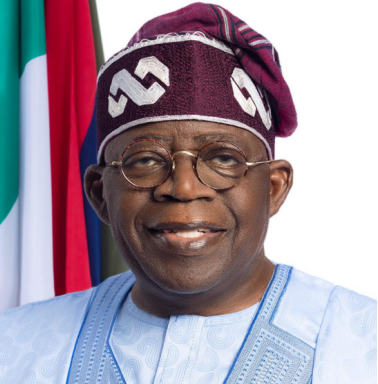 ‘Unacceptable,’ Ex-Envoys Fault Tinubu Over Non-Appointment Of Ambassadors For 10 Months