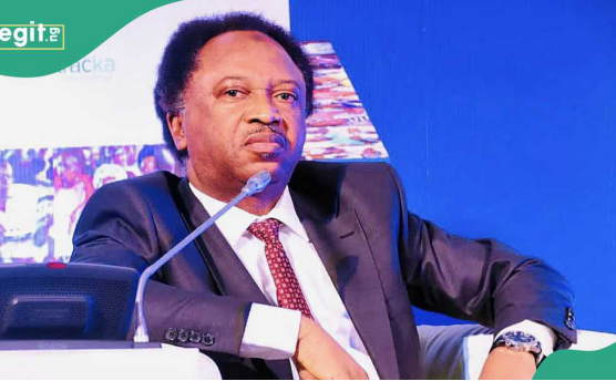 Hunger Protest: Six Ways Peaceful Protests Turn Violent — Shehu Sani