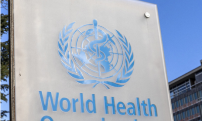 WHO Sounds Alarm On Avian Flu, Covid, Mpox, And Conflict Zones