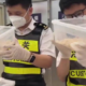 Man Caught Smuggling 100 Live Snakes In China