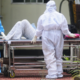 Nipah Virus Outbreak In Kerala, India: 14-Year-Old Boy Dies, 60 Others At High Risk