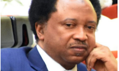 Senator Sani Reveals Federal Lawmakers' Monthly Earnings in Nigeria, Contradicts RMAFC's Claim