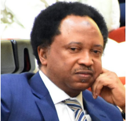 Senator Sani Reveals Federal Lawmakers' Monthly Earnings in Nigeria, Contradicts RMAFC's Claim