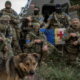 Ukraine Captures Over 150 Russian POWs In Cross-Border Operation