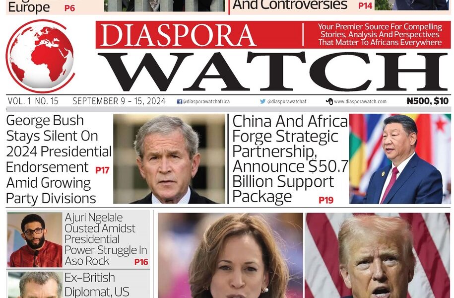 Diaspora Watch newspaper Vol 15