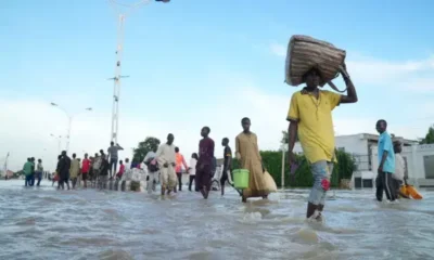 UN, Humanitarian Organizations Assess Devastating Floods In Maiduguri, Pledge Swift Action