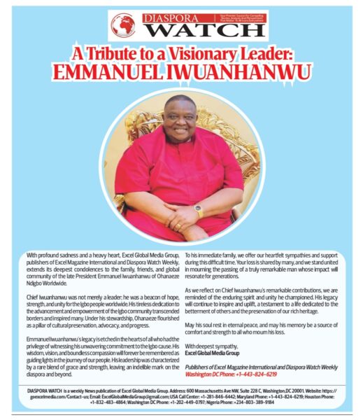 Emmanuel Iwuanyanwu - Diaspora Watch