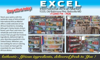 EXCEL International African Market