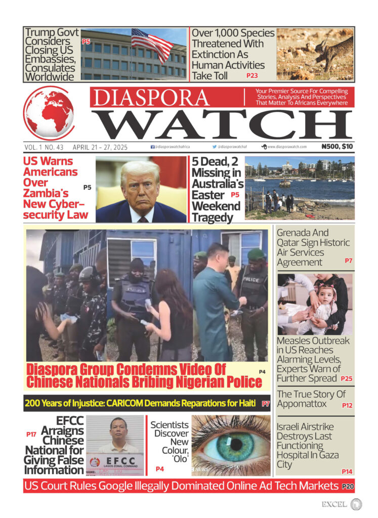 Diaspora Watch newspaper Vol. 43