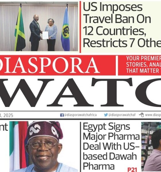 Diaspora Watch Newspaper Vol. 49